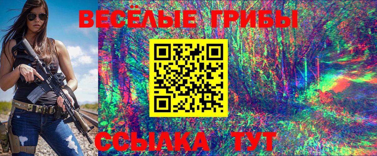 Псилоцибиновые грибы Psilocybine cubensis  Вход с VPN  Моршанск 